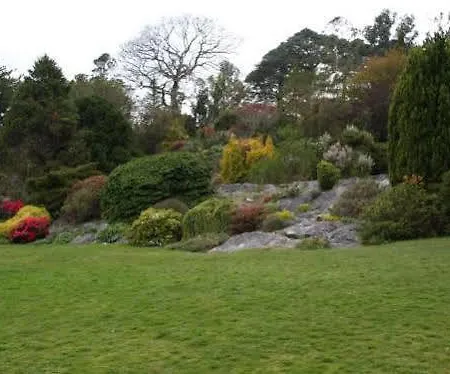 Lake Lodge Guesthouse Килларни