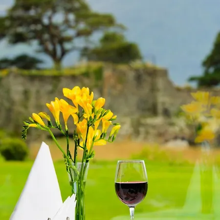 Lake Lodge Guesthouse Гостевой дом Килларни