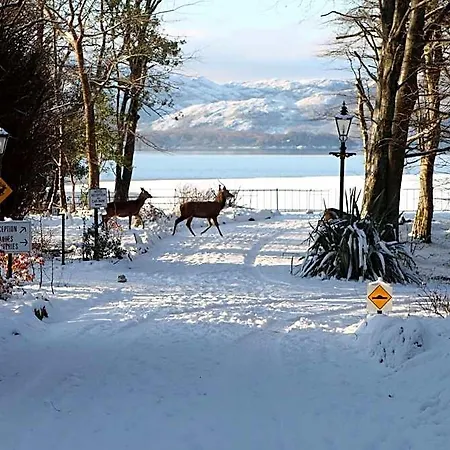 Lake Lodge Guesthouse 4* كيلارني
