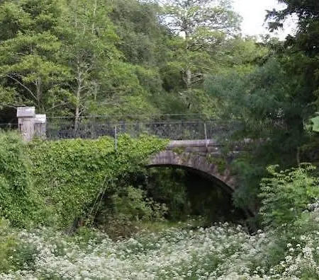 湖泊旅馆 招待所