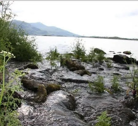 湖泊旅馆 招待所