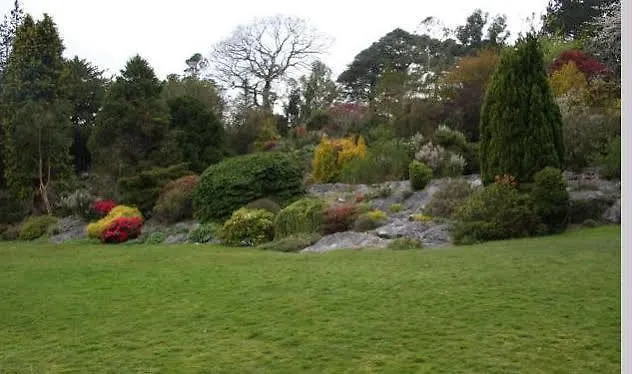 Lake Lodge Guesthouse Cill Airne